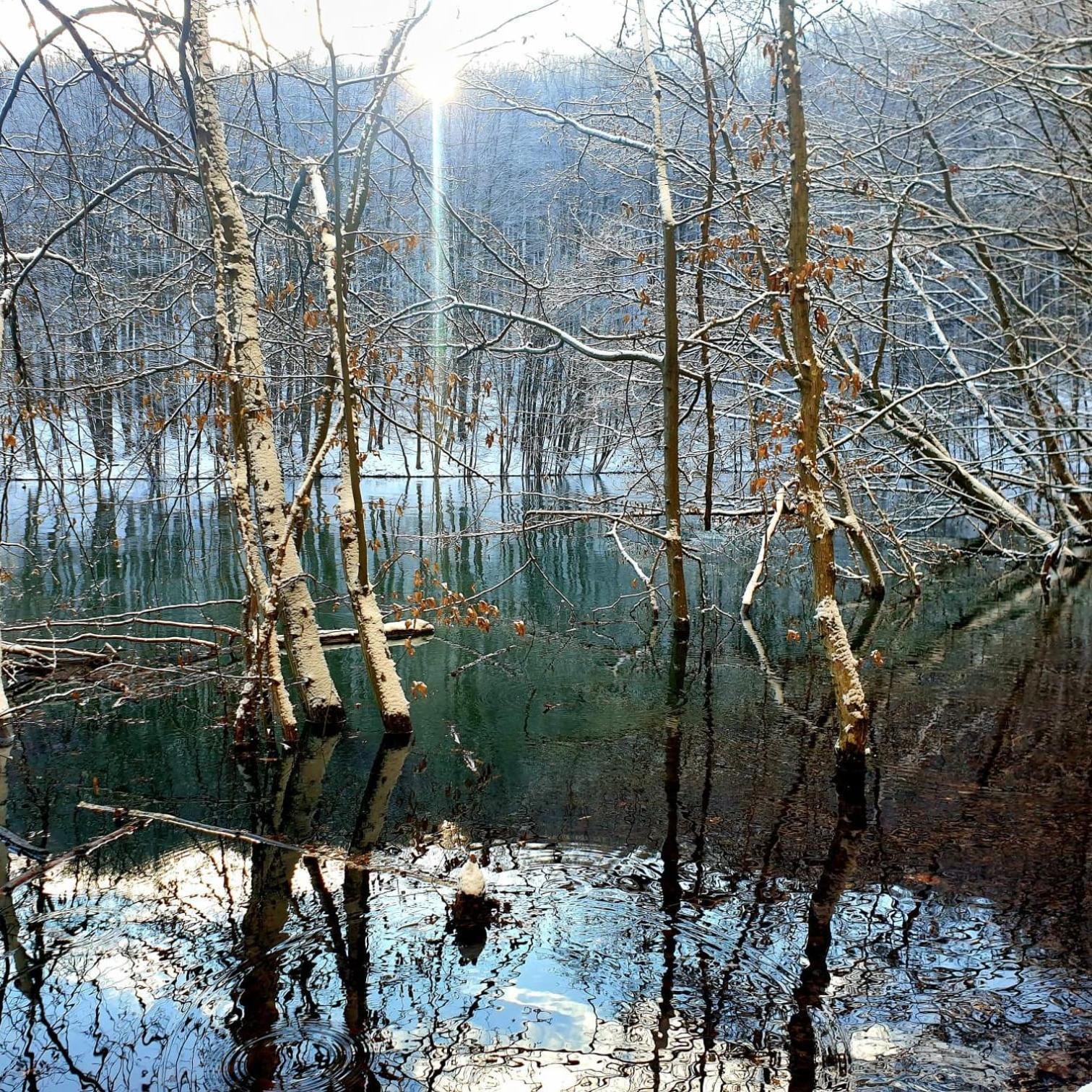 Vila Bieszczadzka Pauza Polańczyk Exteriér fotografie