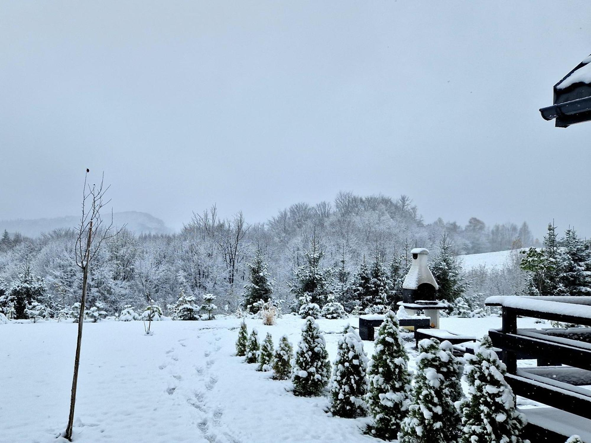 Vila Bieszczadzka Pauza Polańczyk Exteriér fotografie