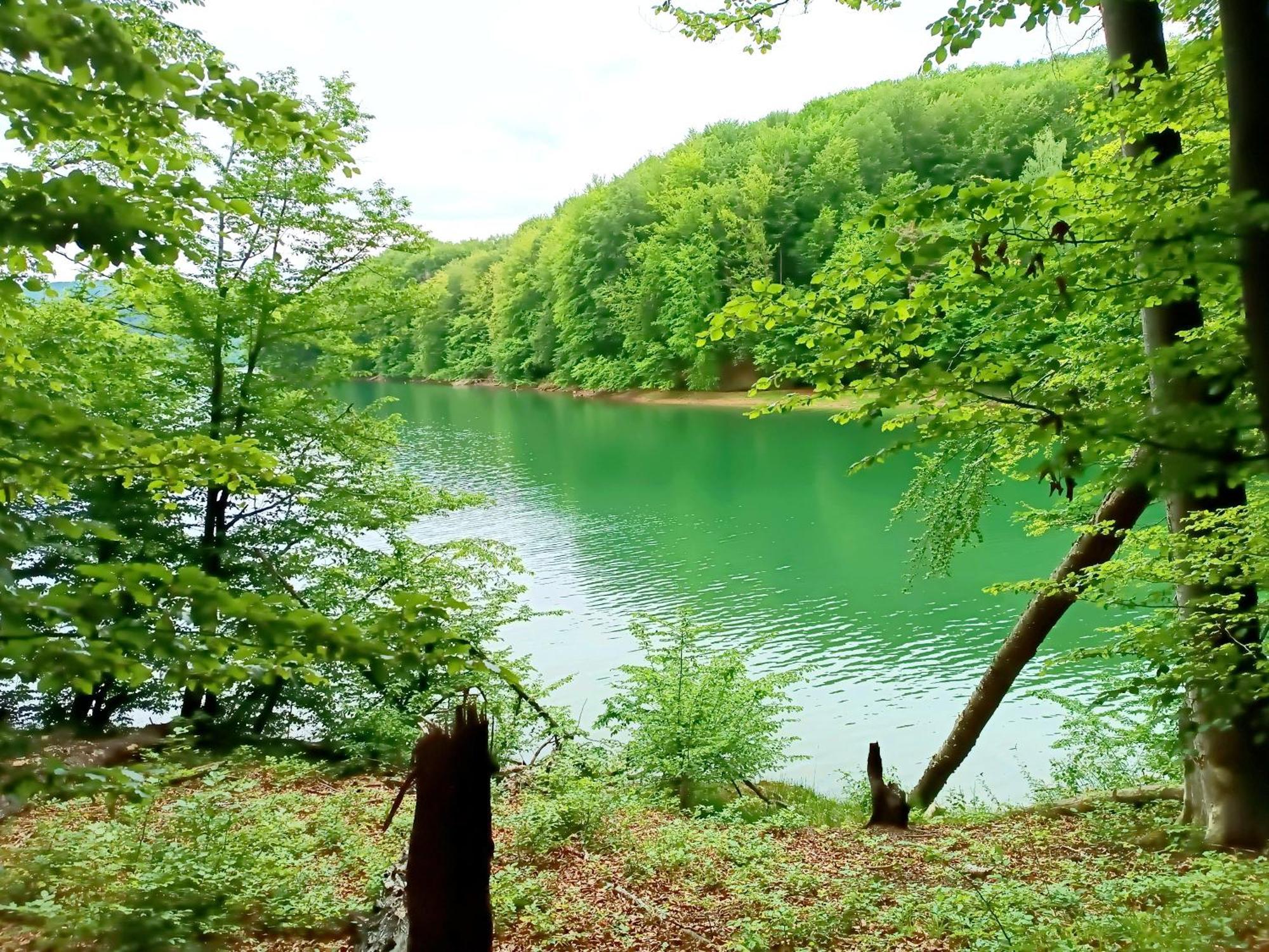 Vila Bieszczadzka Pauza Polańczyk Exteriér fotografie