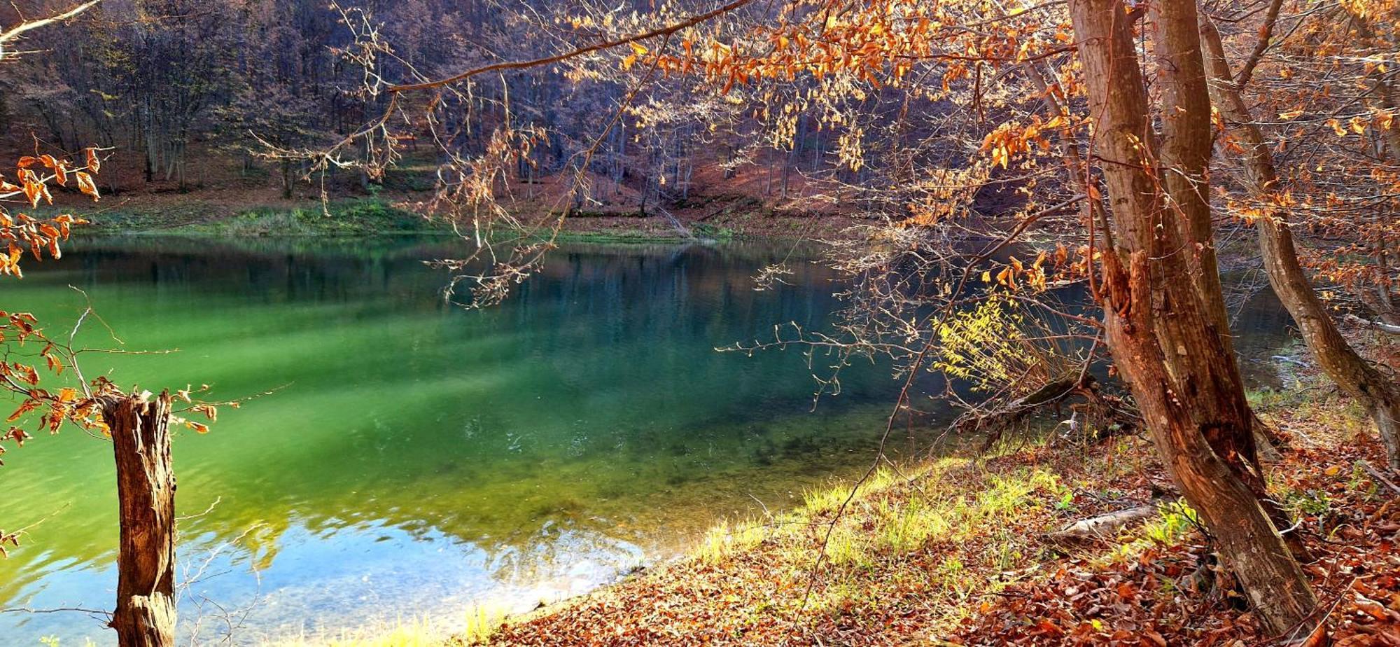 Vila Bieszczadzka Pauza Polańczyk Exteriér fotografie